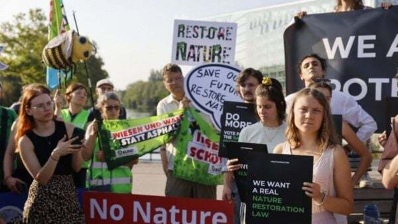 All Irish MEPs back major plan to protect nature and fight climate change All Irish MEPs back major plan to protect nature and fight climate change