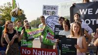 All Irish MEPs back major plan to protect nature and fight climate change
