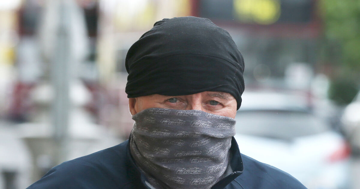 Cork forestry workers initially thought woman's body was a dead pig when they discovered it, court hears - Vimarsana News