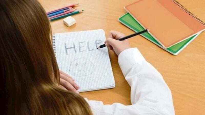 Tusla at 'crisis point' after concern raised over 'systemic' shortcomings Tusla at 'crisis point' after concern raised over 'systemic' shortcomings
