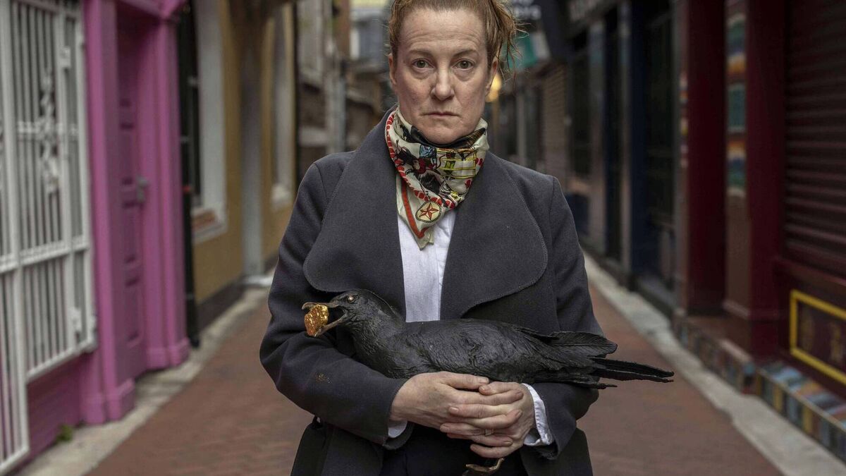Seagulls in new sculpture are 'guardians' of Carey's Lane