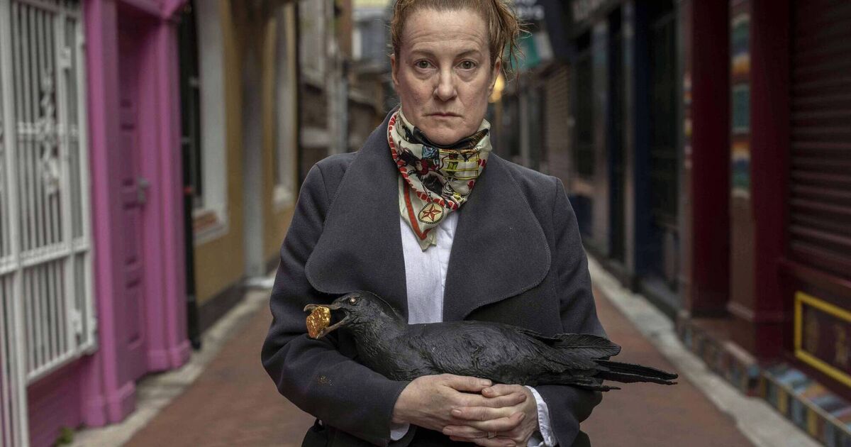 Seagulls in new sculpture are 'guardians' of Carey's Lane - Vimarsana News