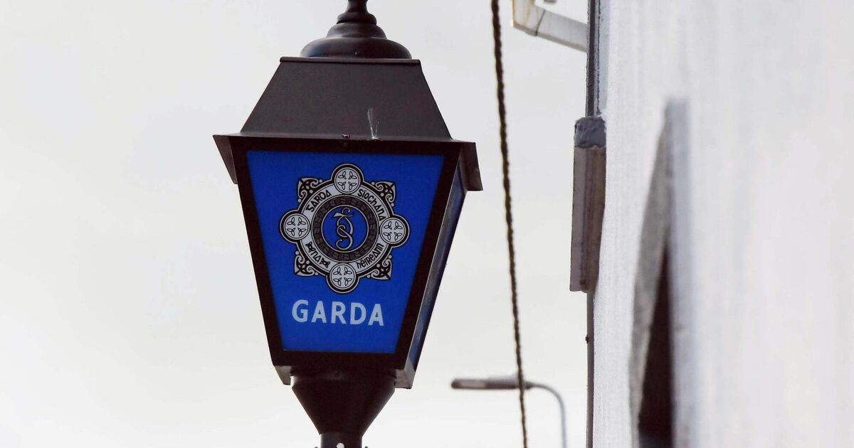 Garda assaulted while investigating incident where a man put his fist through windscreen - Vimarsana News