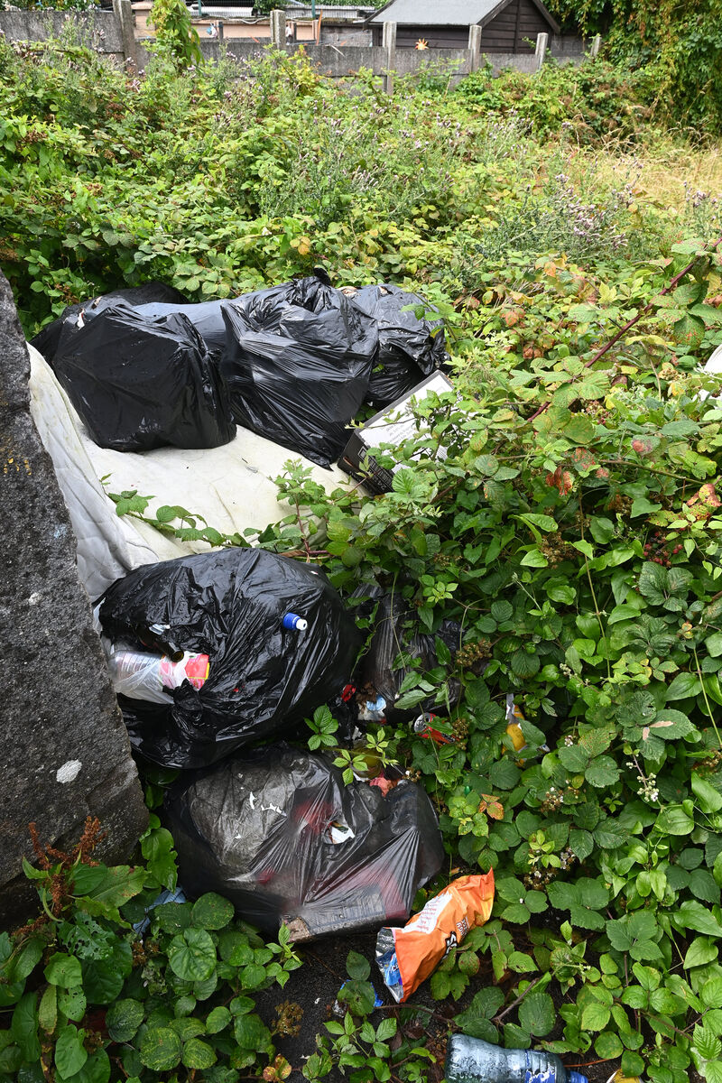 Rubbish dumped in a rear garden, overgrown with weeds. Pic: Larry Cummins Rubbish dumped in a rear garden, overgrown with weeds. Pic: Larry Cummins