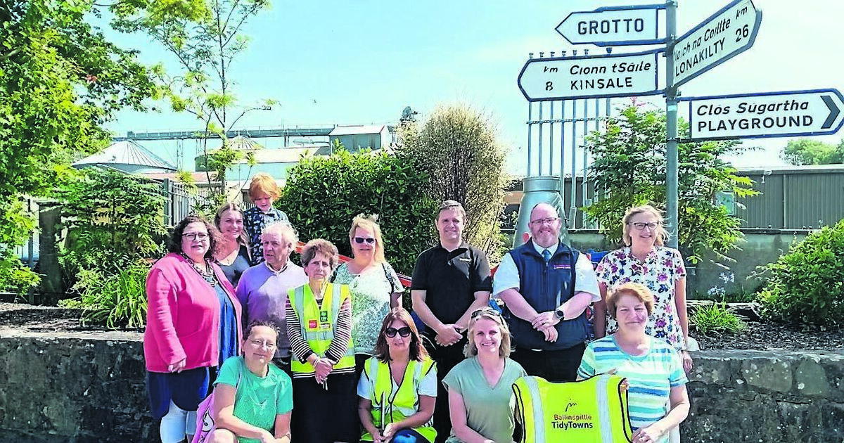 Meet the team that is keeping Ballinspittle spick and span! - Vimarsana News