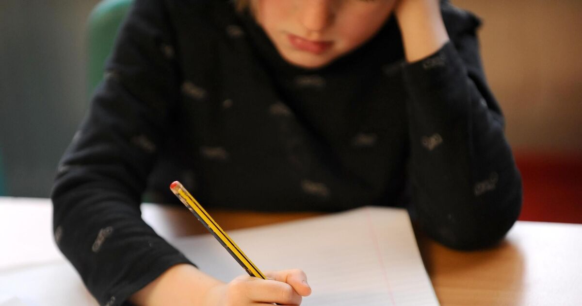 Cork families 'in limbo' over lack of school places - Vimarsana News