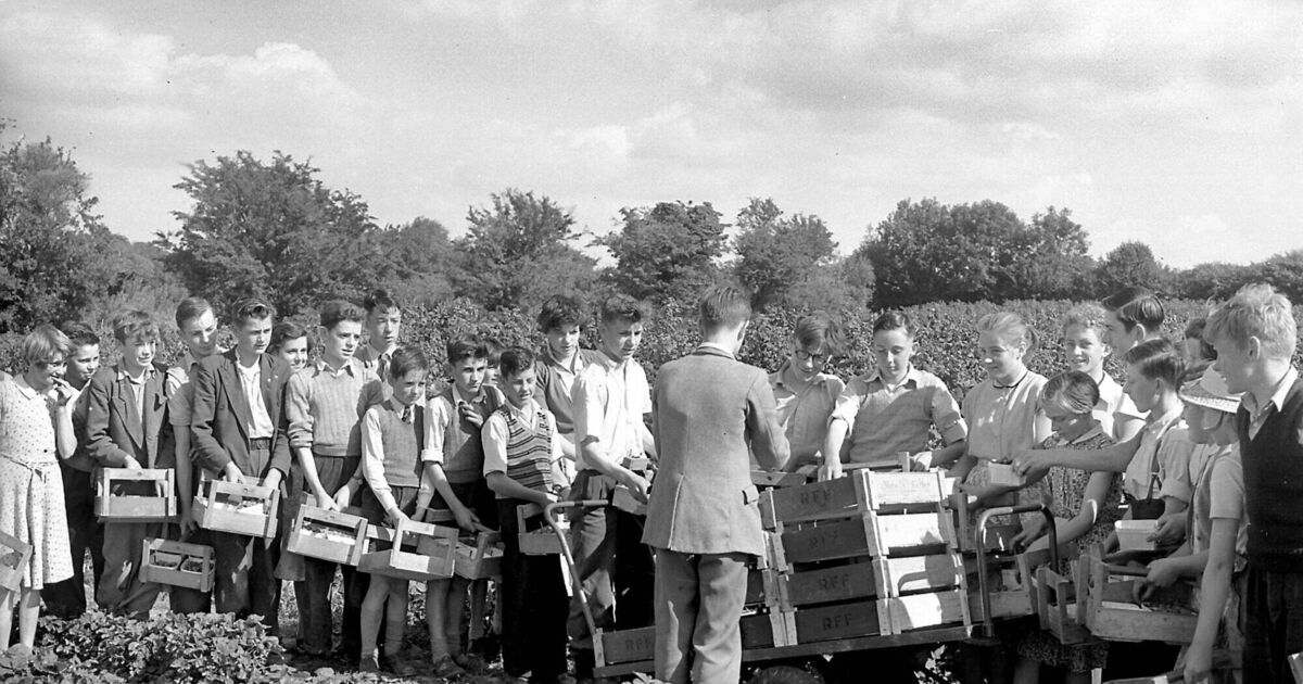 Throwback Thursday: When jam-jars could net a Cork boy a small fortune! - Vimarsana News