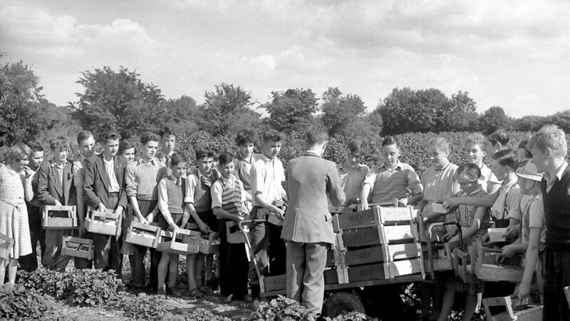 Throwback Thursday: When jam-jars could net a Cork boy a small fortune! Throwback Thursday: When jam-jars could net a Cork boy a small fortune!