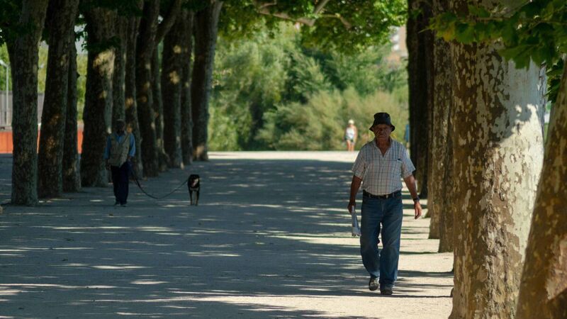 How to travel safely in extreme heatwaves How to travel safely in extreme heatwaves
