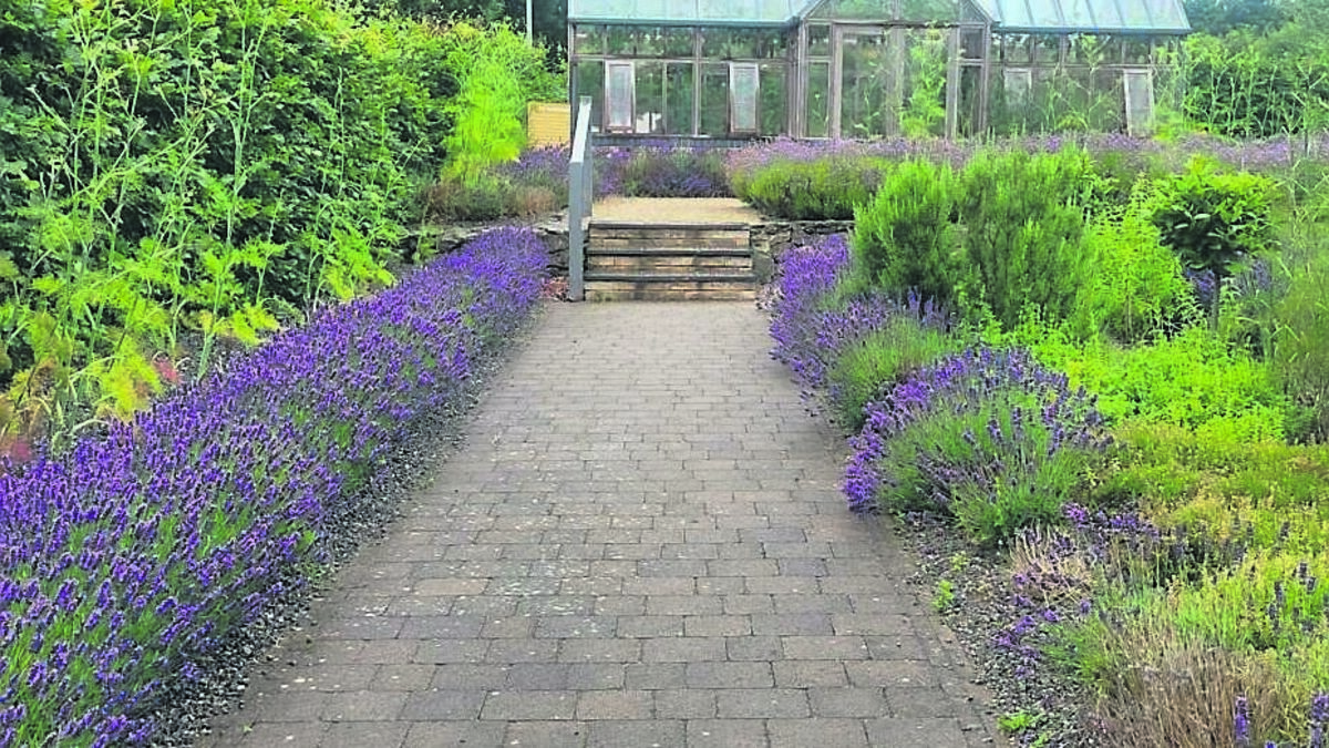 In the Garden: A visit to GIY HQ