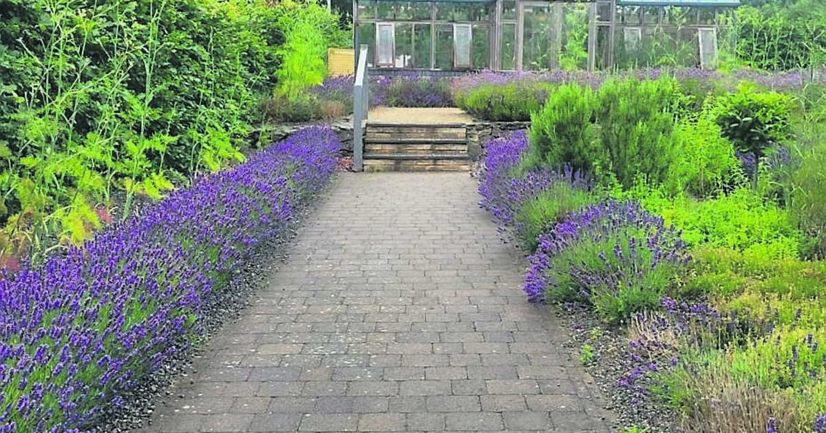 In the Garden: A visit to GIY HQ - Vimarsana News