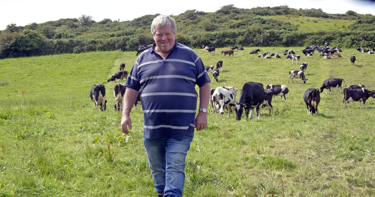 Only option will be to rent land 'to the big fellas' as smaller farmers fear they'll 'lose out' under new proposals - Vimarsana News