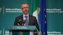 Response to Dublin assaults includes youth work and more gardaí, says Minister