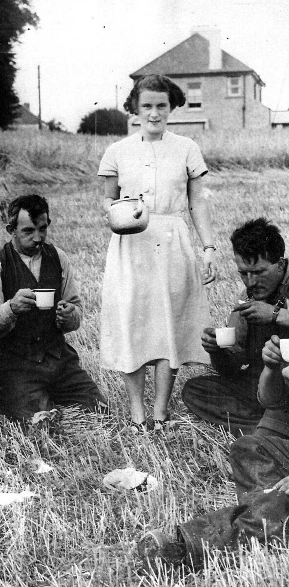 Tea up time at Longs’ Farm, Togher, Cork back in August 1951