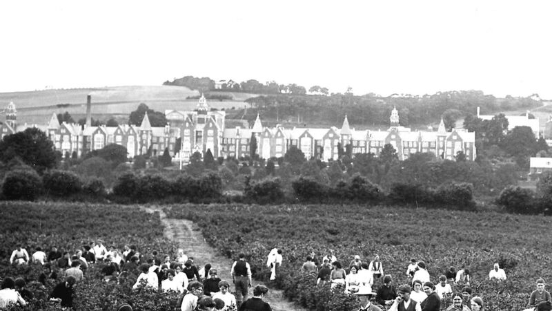 Days when we went fruit-picking for pocket money