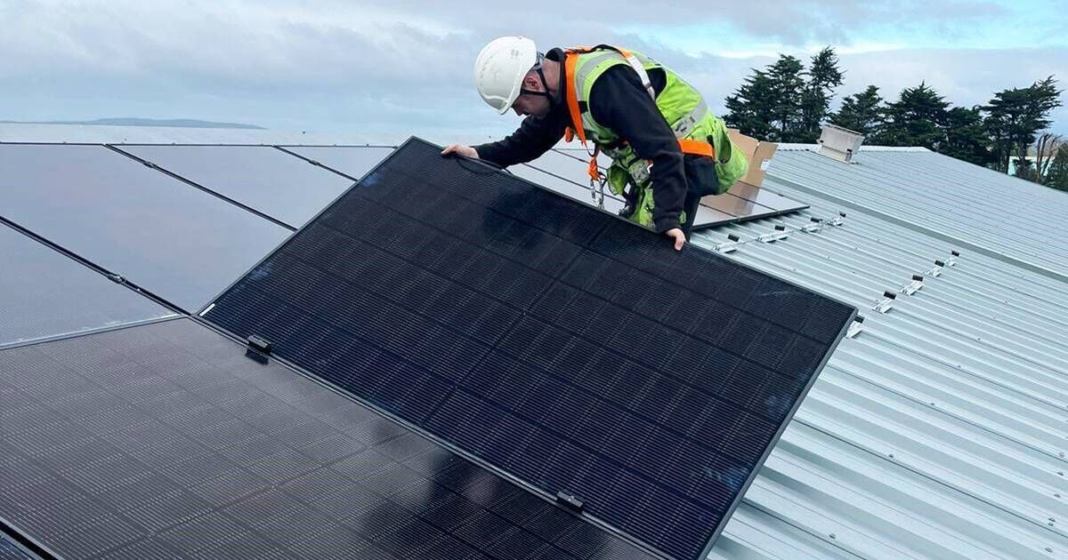 Cork firms to see solar energy payback 'two years ahead of schedule' - Vimarsana News