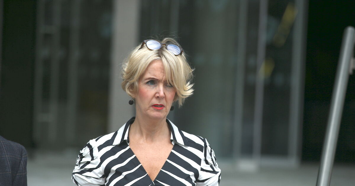 Cork mother who repeatedly harassed hospital doctor appeals conviction saying she was under duress when she pleaded guilty - Vimarsana News