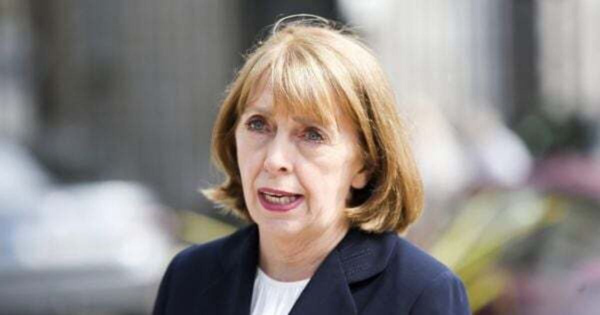 TD criticises Government's 'anodyne' response to Camhs report - Vimarsana News