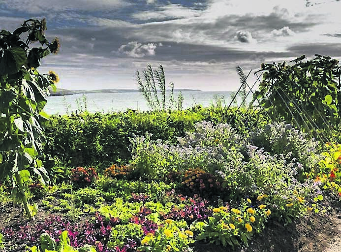 Spectacular views out to sea from the Ocean Gardens at Dunmore House Hotel, Clonakilty, one of the gardens on The West Cork Garden Trail this year Spectacular views out to sea from the Ocean Gardens at Dunmore House Hotel, Clonakilty, one of the gardens on The West Cork Garden Trail this year