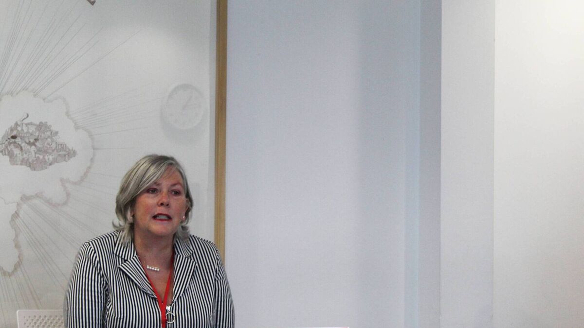Cork City Council chief executive provides context around 'arses need kicking' comment made on visit to social housing