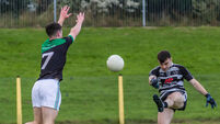 Gary Murphy and Declan Dunne ensure Castletownbere beat Nemo