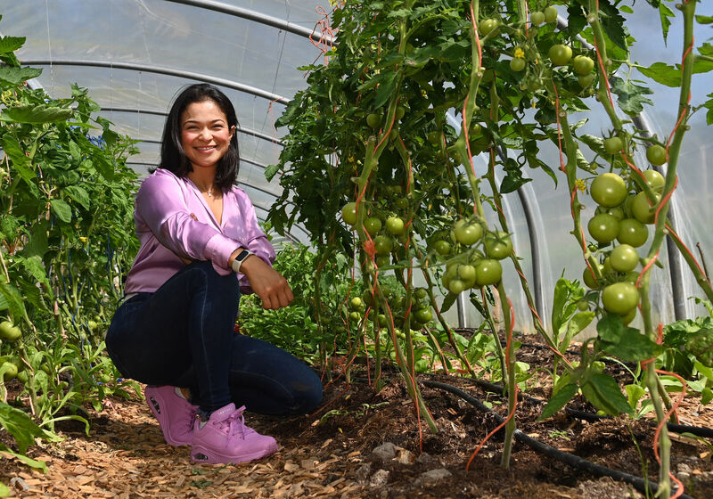 Sonia Kingston Castro tending to the tomatoes at Coolkelure farm and gardens near Dunmanway. Picture: Eddie O'Hare Sonia Kingston Castro tending to the tomatoes at Coolkelure farm and gardens near Dunmanway. Picture: Eddie O'Hare