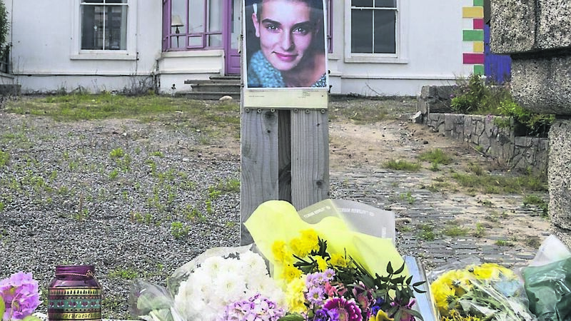 Sinéad’s final wish: To stage an exhibition of her paintings