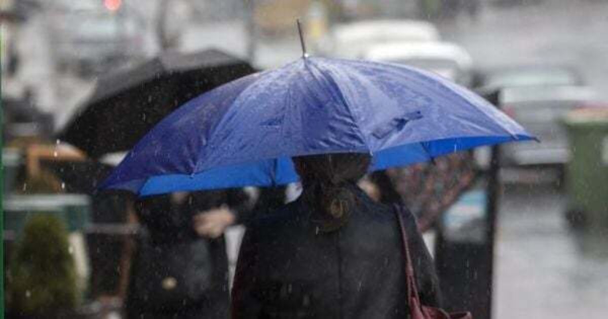 Met Éireann confirms last month was the wettest July on record - Vimarsana News