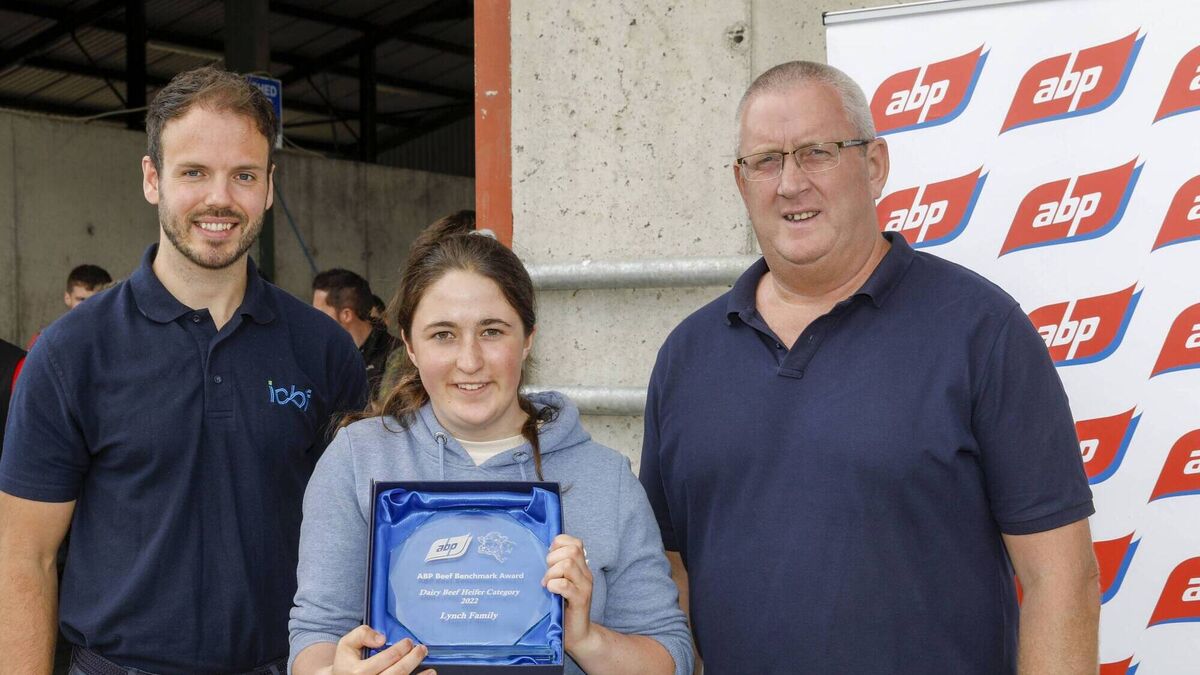 Cork farmers awarded for excellence in beef sustainability 