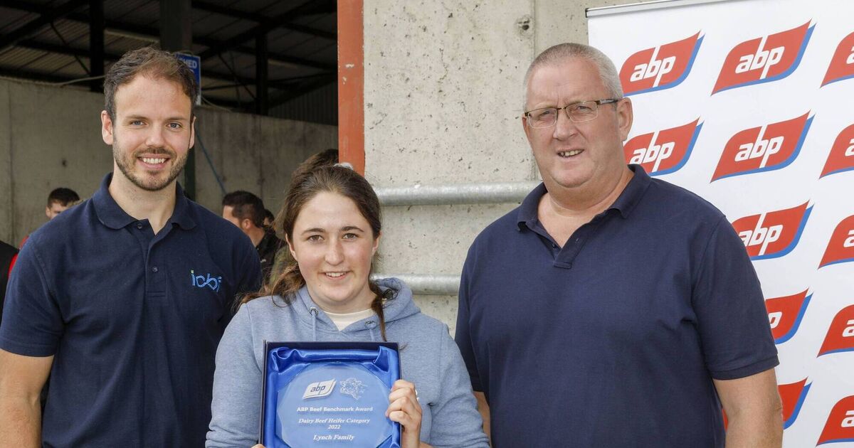 Cork farmers awarded for excellence in beef sustainability - Vimarsana News