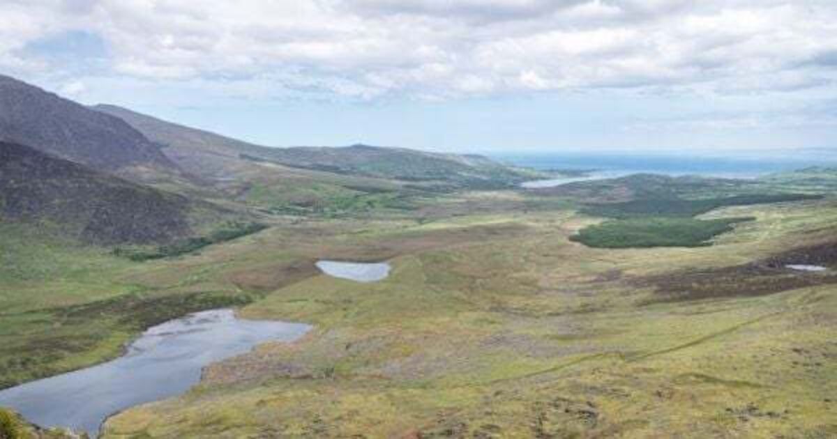 We are interested in buying Conor Pass for a reasonable price, Taoiseach says - Vimarsana News