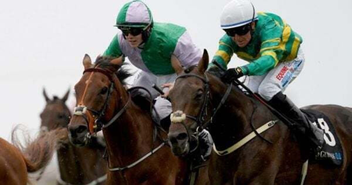 Brazil finds the back of the net for big Galway handicap win - Vimarsana News