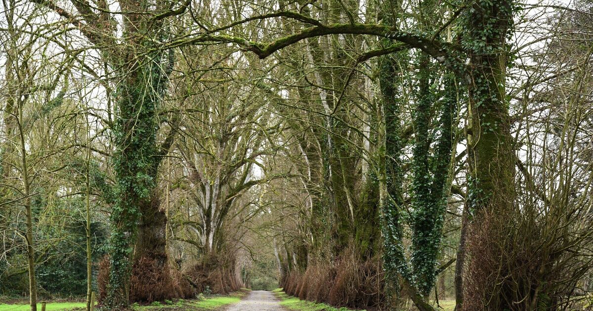 Cork's wildlife to be explored as part of Heritage Week - Vimarsana News