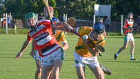 Newly promoted Dungourney stun Ballincollig in PIHC
