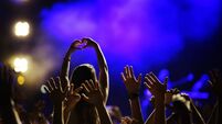 Concert Crowd