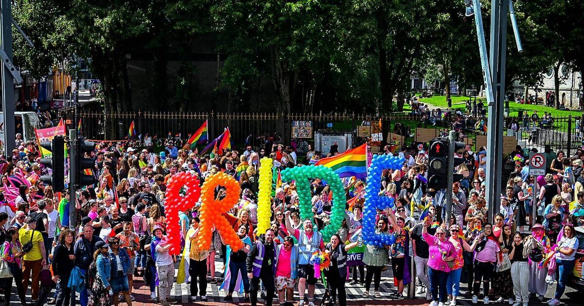 Cork Pride organisers call for funding to ensure the future of the 'festival of love' - Vimarsana News