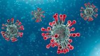 New Covid-19 variant Eris detected in Ireland, HSE says