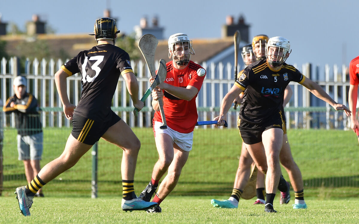 Cork hurling numbers game: Facts and figures from championship opening ...