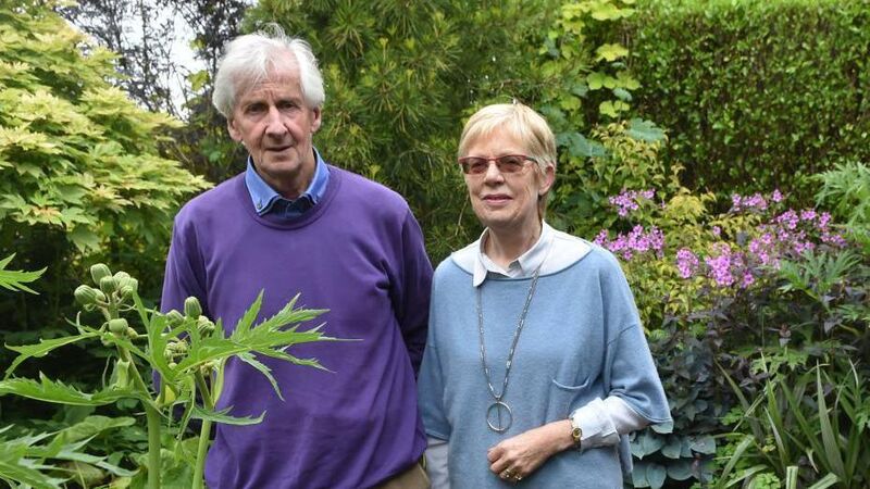 Cork couple's garden is a labour of love for past 50 years Cork couple's garden is a labour of love for past 50 years