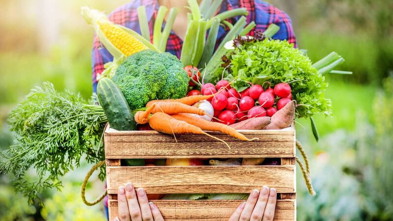 Eimear Hutchinson: A garden bursting with produce - here's what to do... Eimear Hutchinson: A garden bursting with produce - here's what to do...