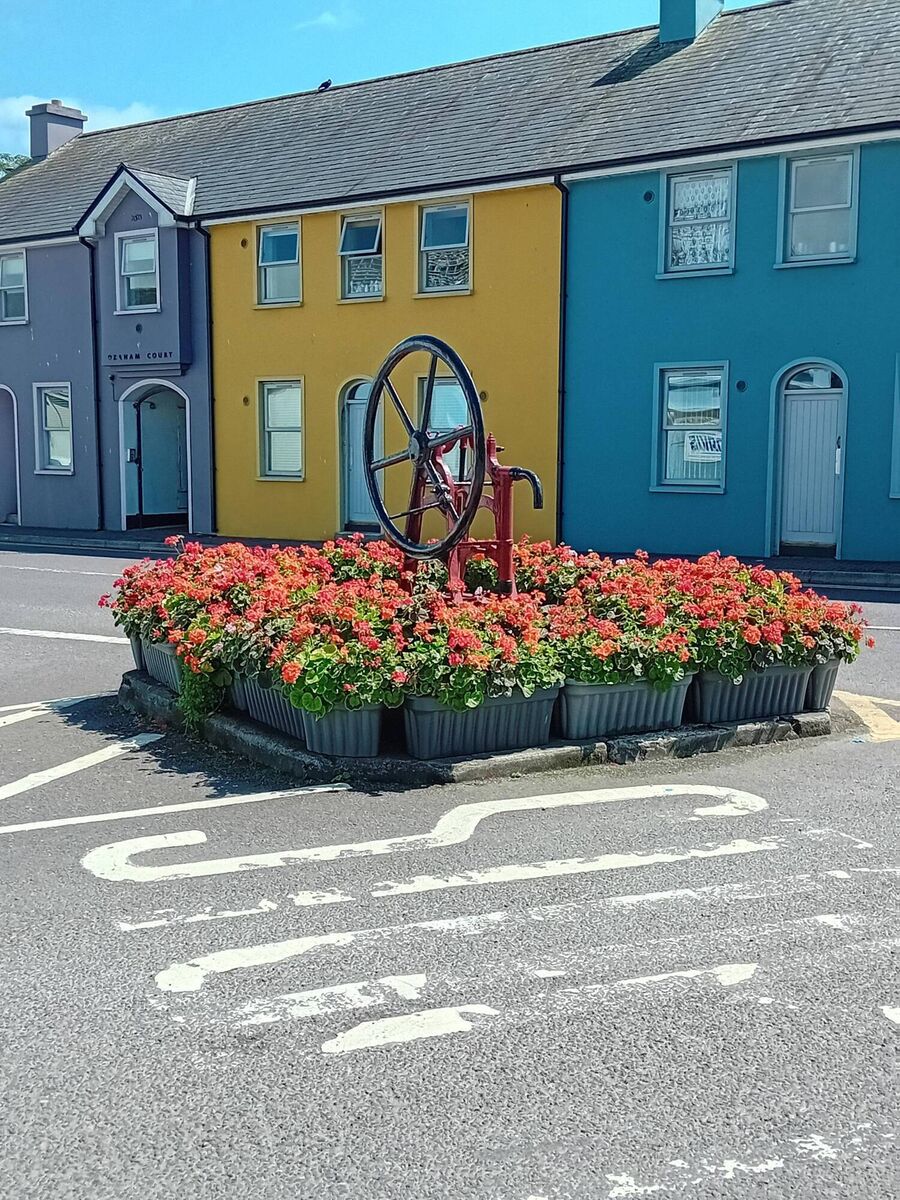 Flower beds in Clonakilty.