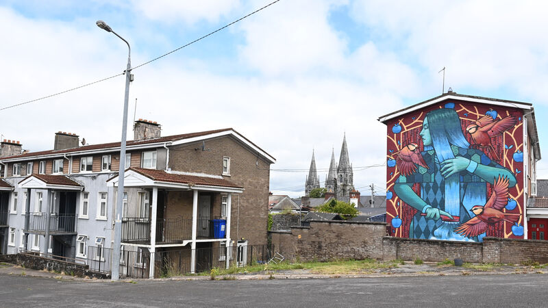 Publish all council flats reports, says Cork TD