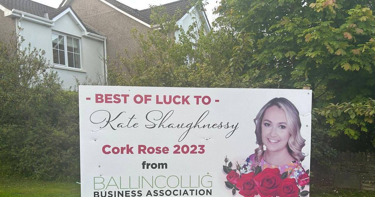 Posters supporting Cork Rose removed by city council - Vimarsana News