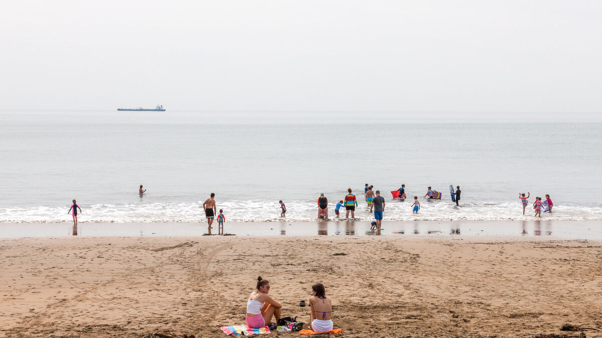 Locals advised to avoid popular Cork beach due to rodent infestation