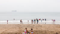 Locals advised to avoid popular Cork beach due to rodent infestation