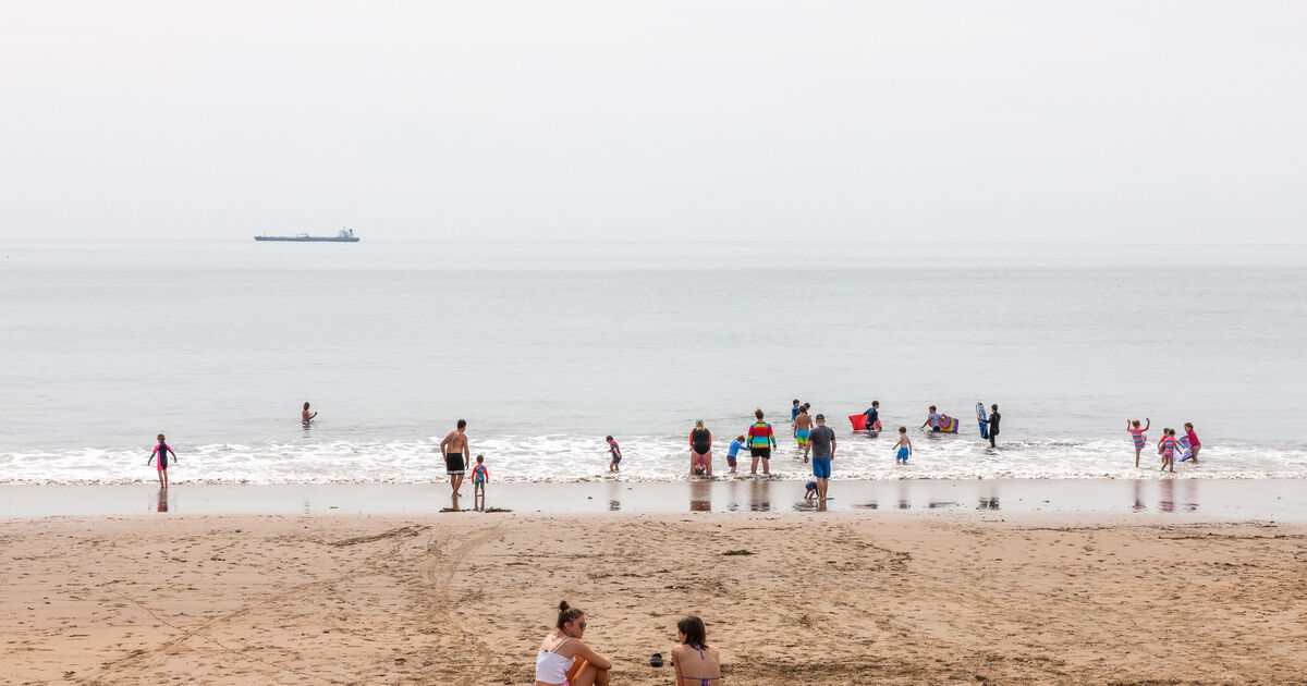 Locals advised to avoid popular Cork beach due to rodent infestation - Vimarsana News