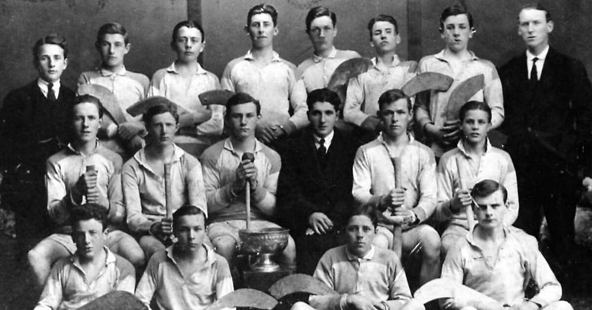 Saluting Cork hurling legend Dinny, who died 50 years ago this week - Vimarsana News