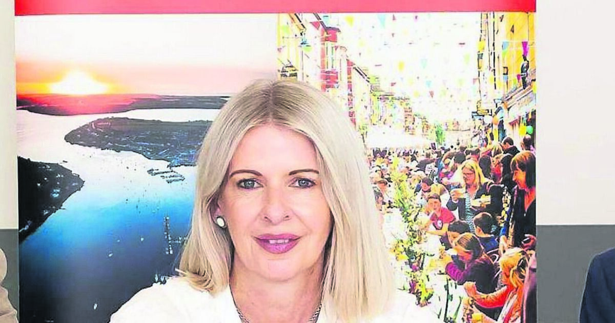 Cork County Council to get its first female interim CEO - Vimarsana News