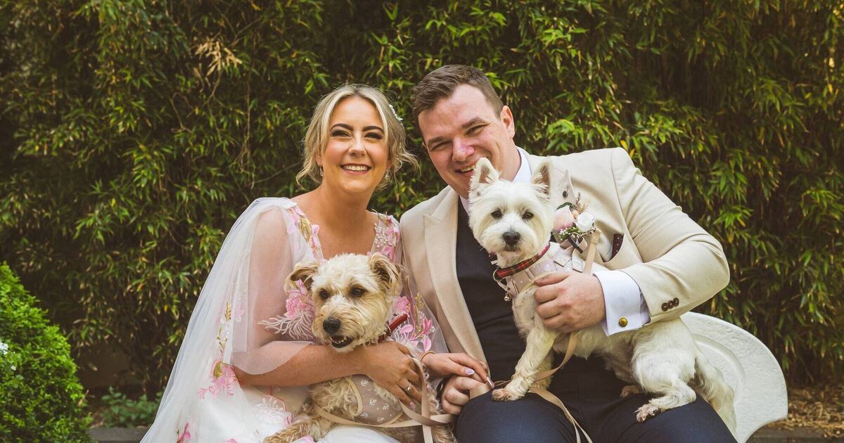 Wedding of the Week: Couple pick dog-friendly Cork venue to host their perfect day - Vimarsana News