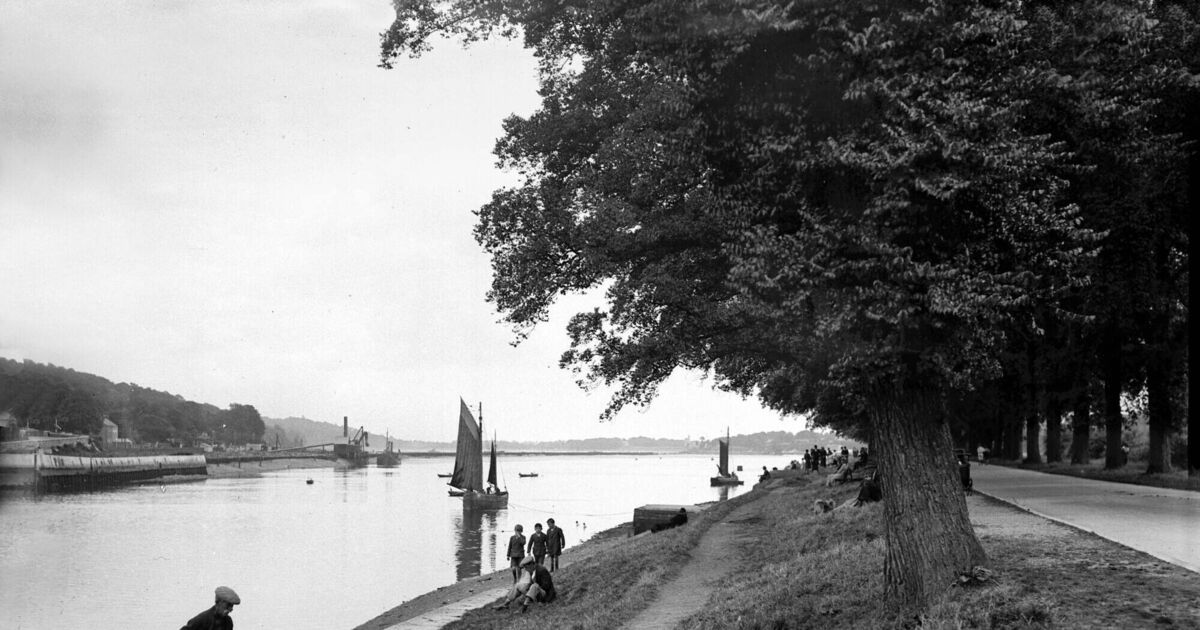 Nostalgia: Development of Cork city allowed citizens to stroll - Vimarsana News